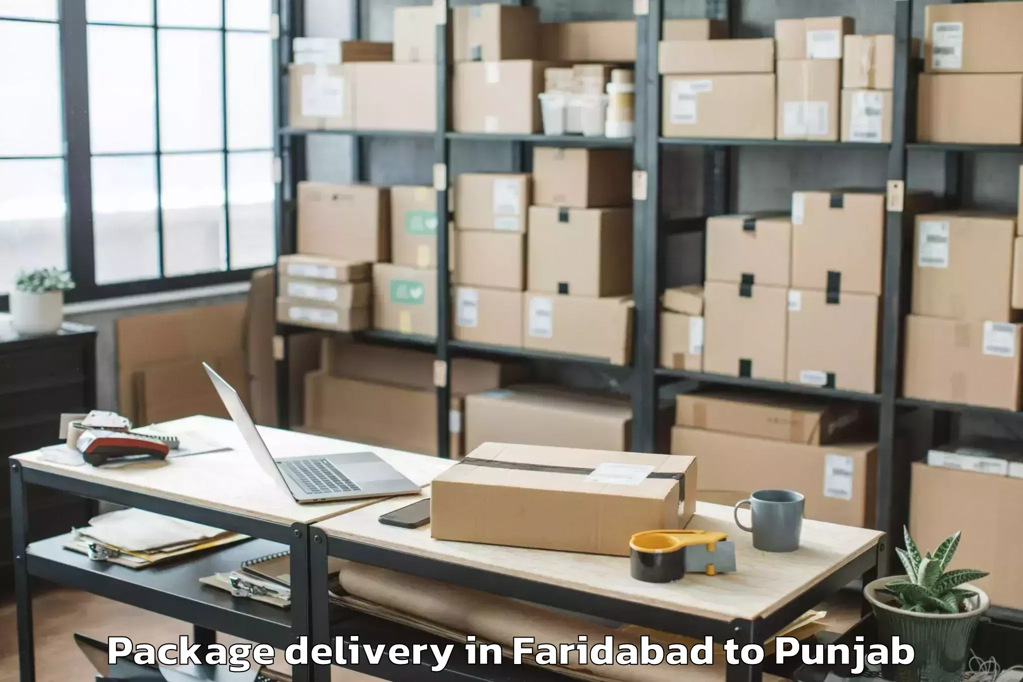 Quality Faridabad to Dera Nanak Package Delivery